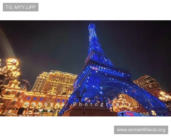 澳门巴黎人官网游戏攻略大全，提升你的游戏技巧和赢率的实用建议