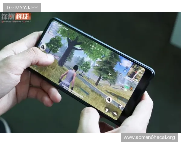 澳门总统手机版会员登录入口全面指南帮助玩家顺利进入游戏体验最新优惠活动推荐